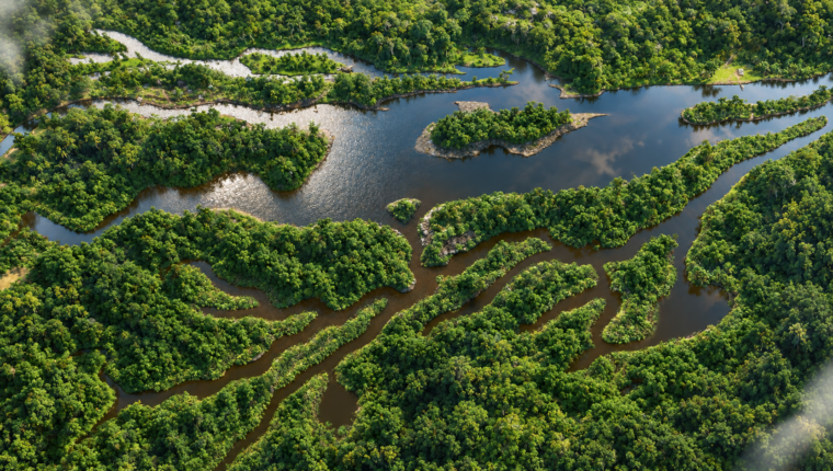 Marron Fluss in Fishing Planet